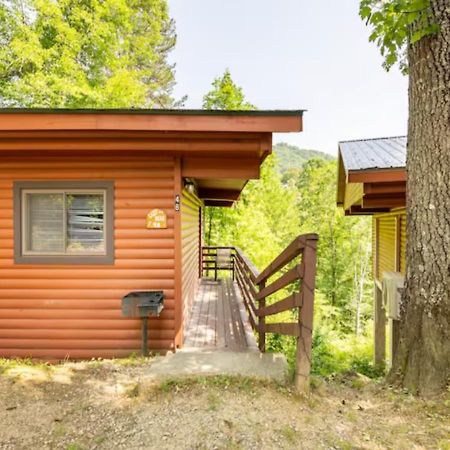 Lazy Bear Cabin Near Nantahala Outdoor Center And Bryson City Zewnętrze zdjęcie