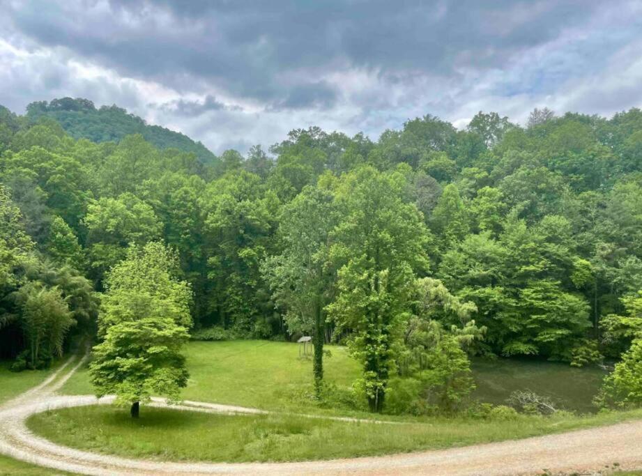 Lazy Bear Cabin Near Nantahala Outdoor Center And Bryson City Zewnętrze zdjęcie