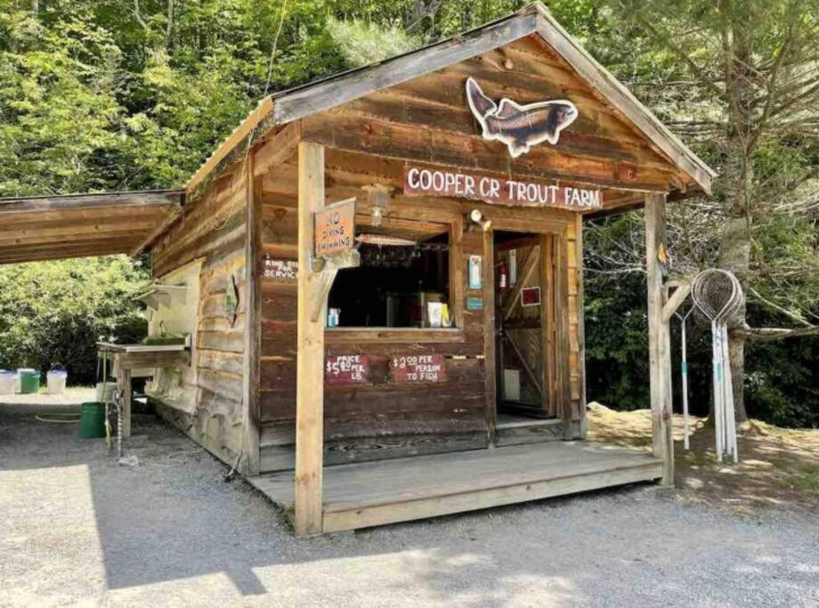 Lazy Bear Cabin Near Nantahala Outdoor Center And Bryson City Zewnętrze zdjęcie