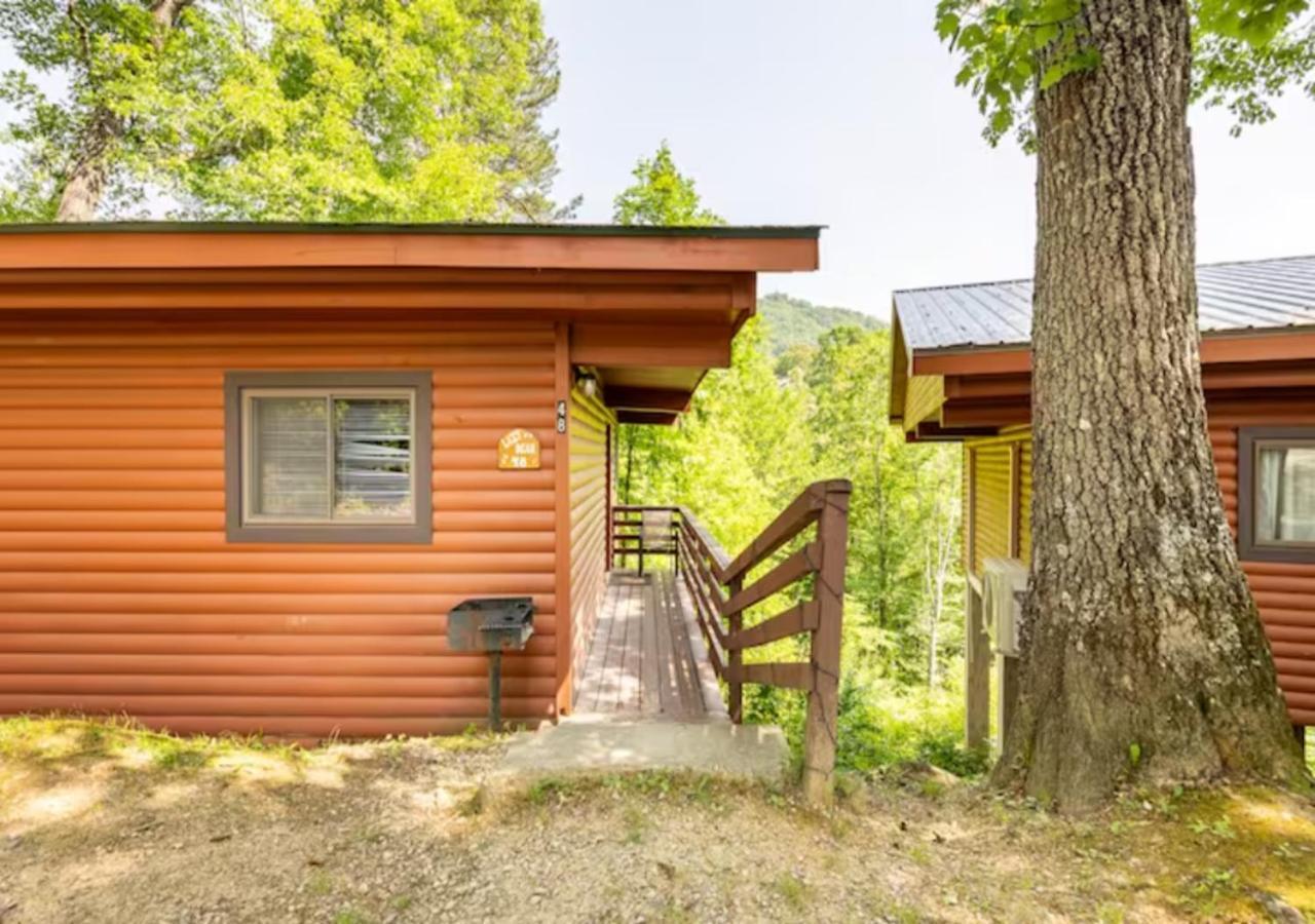 Lazy Bear Cabin Near Nantahala Outdoor Center And Bryson City Zewnętrze zdjęcie