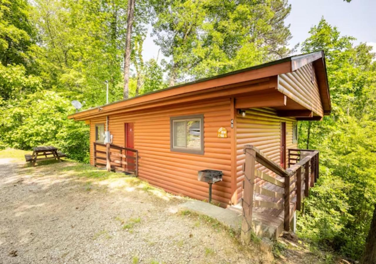 Lazy Bear Cabin Near Nantahala Outdoor Center And Bryson City Zewnętrze zdjęcie