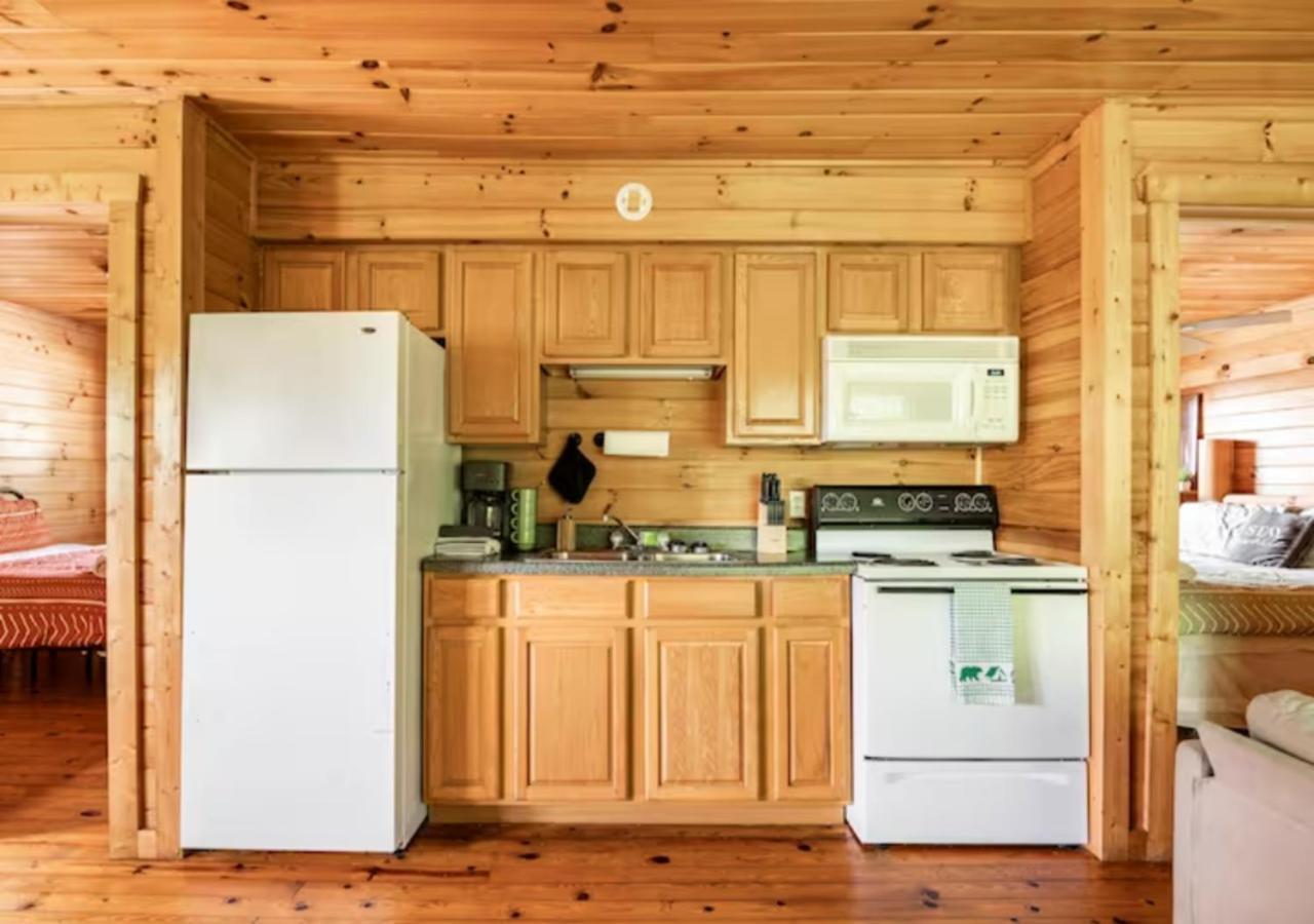 Lazy Bear Cabin Near Nantahala Outdoor Center And Bryson City Zewnętrze zdjęcie